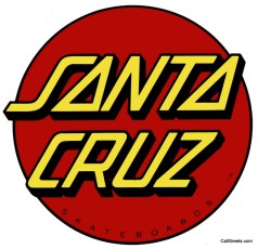 Santa Cruz - SkateBoards-RFX1