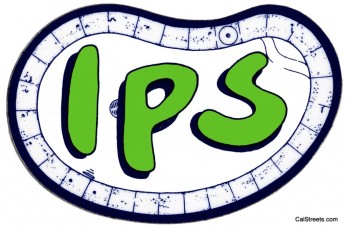 I Pool Service IPS - Green RFX1